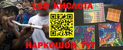 крисы Ливны