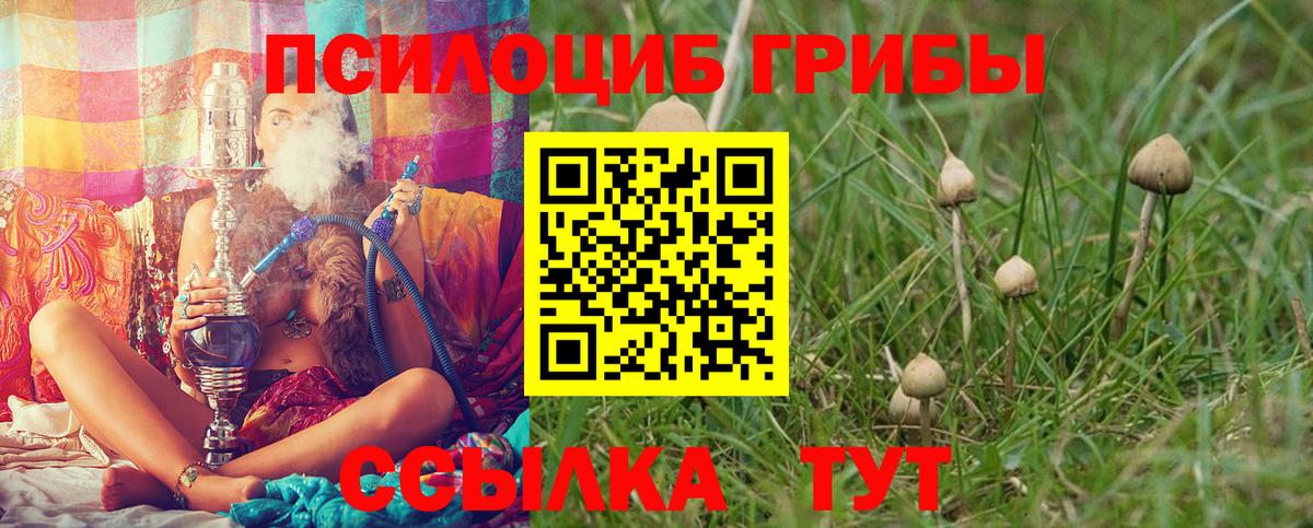 Псилоцибиновые грибы Magic Shrooms Городец