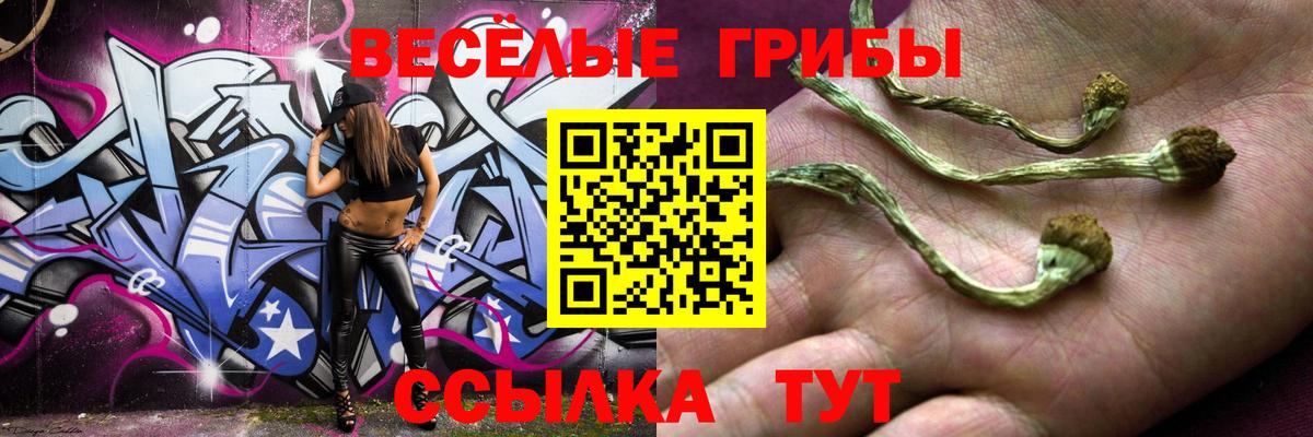 Псилоцибиновые грибы мухоморы  Вход с VPN  Городец 